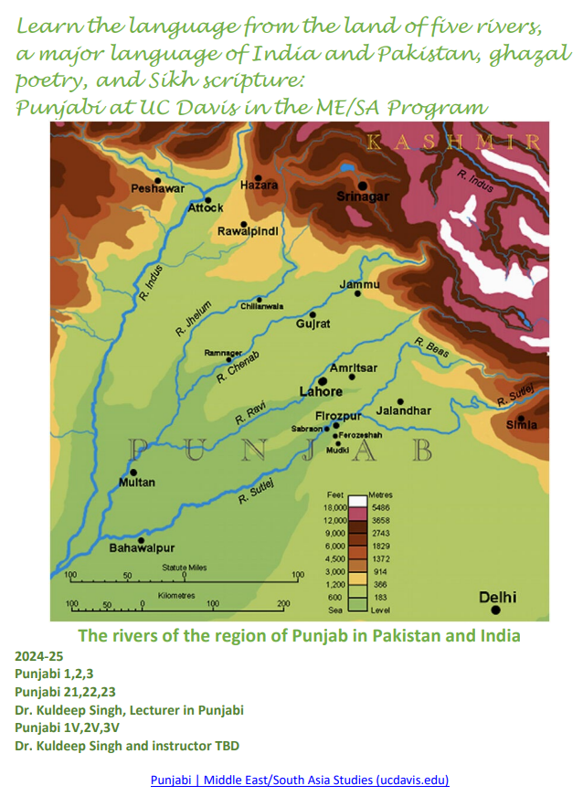 Punjabi Flyer Fall 2024.png